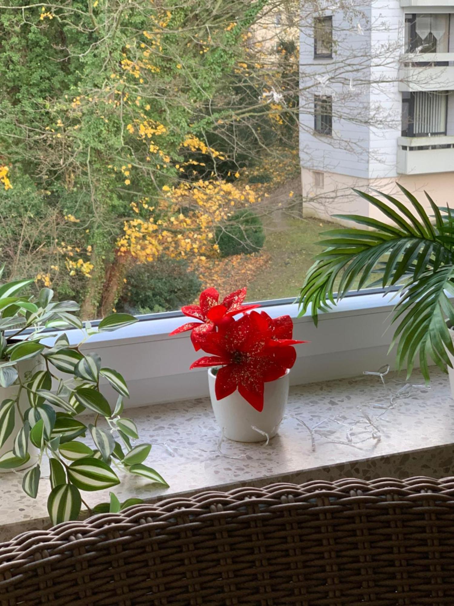 Ferienwohnung Doretta Bad Harzburg Buitenkant foto